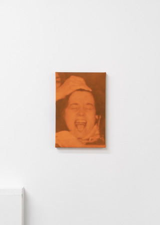 Gegenüberstellung (Reinorange), 2024, Spray paint, photo print on canvas, 30 x 20 cm