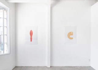 Installation Continental Colors, Noysky Projects, Los Angeles, 2022